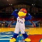 I'm little and blue, and an ok’ish dancer. I love @KUAthletics and hanging out with my best friend, @KUBigJay!