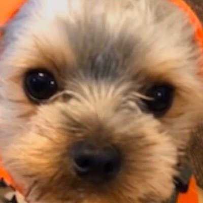 Mim_7321's profile picture. 