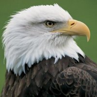 Mostafa& Mohamed (@drsh66199) 's Twitter Profile Photo Mostafa& Mohamed (@drsh66199) 's Twitter Profile Photo