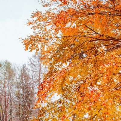 Mohammad51998's profile picture. مرحبا 🙋‍♂️