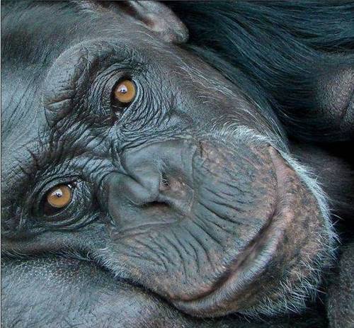 aterrar's profile picture. Guinness quaffing misery guts,much shorter than I ought to be. Still have a twinkle in the eye, follow & I usually follow back, especially if I like your posts.