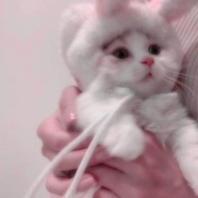Xiangoom's profile picture. 変なのはブロックします^^