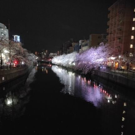 miraina11's profile picture. 