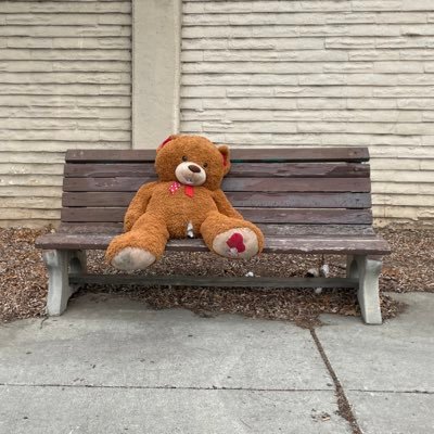 MrGiffyBear's profile picture. 