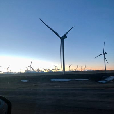 opentheborder1's profile picture. Quiet peaceful person. Likes to travel which I can’t anymore. Strong conservative. Believe in god.