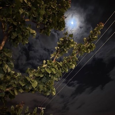 er_0777's profile picture. 