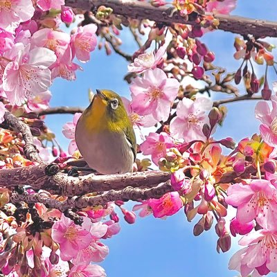 毎日カフェ、グルメ巡り💗🍓インスタ来てください💓リンクは下に✨👇主に関西✨ 旅行やお出かけも好き🌸 海外旅行も好き🌸 #関西カフェ #大阪カフェ #京都カフェ #関西グルメ #大阪グルメ #関西お出かけ #苺のスイーツ #パフェ #大阪パフェ #京都パフェ #カフェ巡り #旅行 #お出かけ #花活