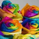 Carla Goetz - @Carliesue1313 - Twitter