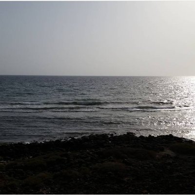 Ocean Profile