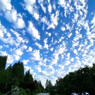 mozarten's profile picture. 