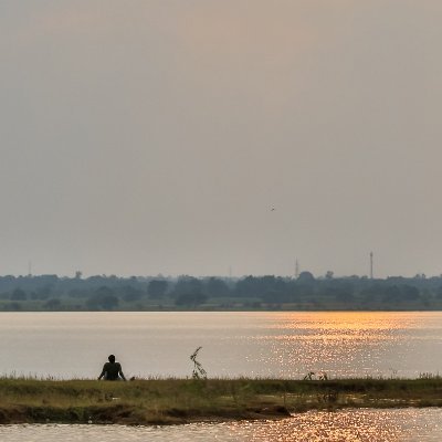 msdp41's profile picture. 