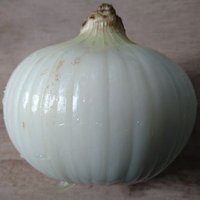 たまねぎ (@tm13740870) 's Twitter Profile