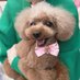 COCOの相棒ゆきこ (@cocoyukko081344) Twitter profile photo COCOの相棒ゆきこ (@cocoyukko081344) Twitter profile photo