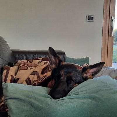 NoxiusNotemax's profile picture. 