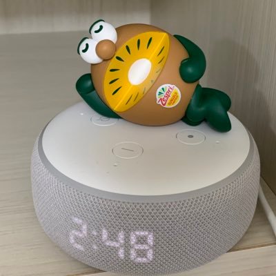 まりも１ まりも まりも NEW MOTORCYCLE: ZX-6R「40th Anniversary Edition