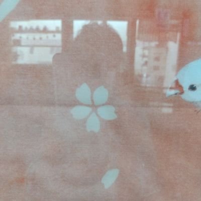 TORO331107's profile picture. ガーデニングが好きなおばちゃんです。