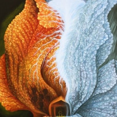 lada_miz's profile picture. May the world peace