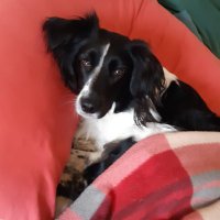 Simon Packer (@handsomepacker) 's Twitter Profile Photo Simon Packer (@handsomepacker) 's Twitter Profile Photo