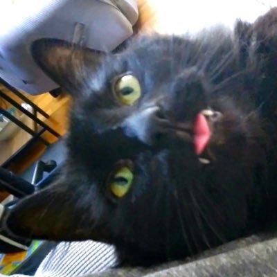 beanymarieper's profile picture. Hello Friends! Just here to browse, don't mind me! 22 They/Them