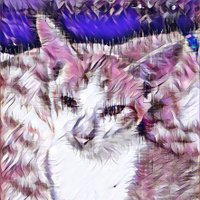 kaeyrus (@kaeyrusama) 's Twitter Profile