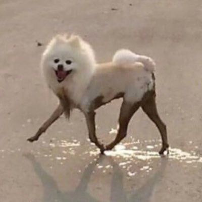なみななみん🏖️さんのプロフィール画像