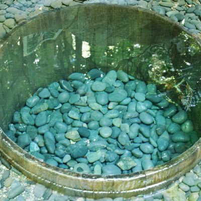 smilesalon_'s profile picture. #CS60