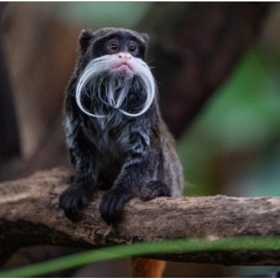 JessLooking8's profile picture. Bedridden PoGM #SevereME #POTS #MCAS #hEDS #ChronicPain. There is no liberation without disability justice. #CovidIsAirborne