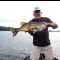 Joefishunt (@joefishunt) 's Twitter Profile