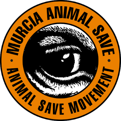 Activistas Antiespecistas dispuestas a luchar por los derechos de los animales ✊
Murcia Animal Save