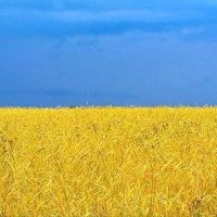 Anovik (@anovik_minsk) Twitter profile photo