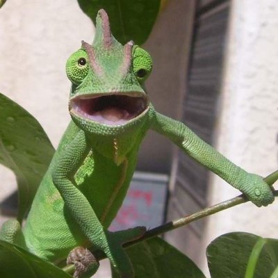 PerezJeanphili3's profile picture. 