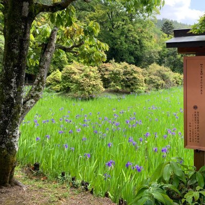 montagne_en_ete's profile picture. 