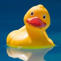 Gummiente Official (@rubbrdug) 's Twitter Profile
