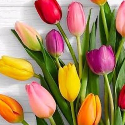 Aparna_tsrtc's profile picture. 