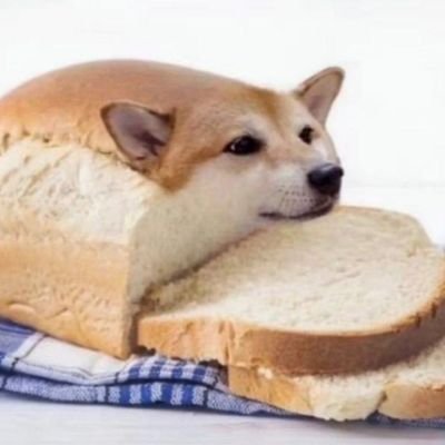 Yile🍜伊乐不是拉面さんのプロフィール画像