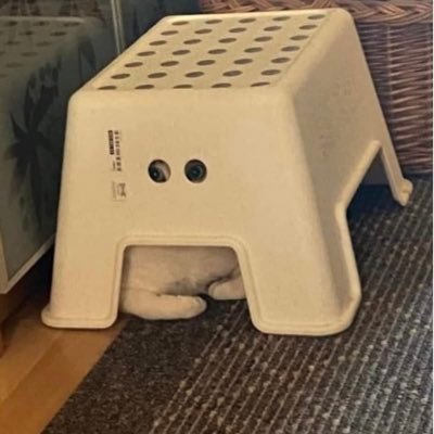 jabojabow's profile picture. ฉันไม่ควรพูดเรื่องนี้ให้พวกเธอฟัง               i always wanna die~sometimes