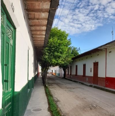 maoset775's profile picture. Noticias