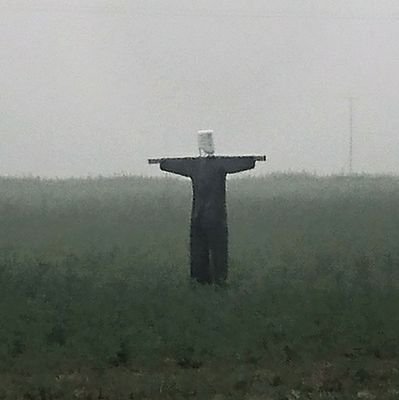 21st Century Schizoid Fan
Lots of folk live up lanes
Ć la lanterne
Check out Mr Businessman
An under-liner of leaf structure