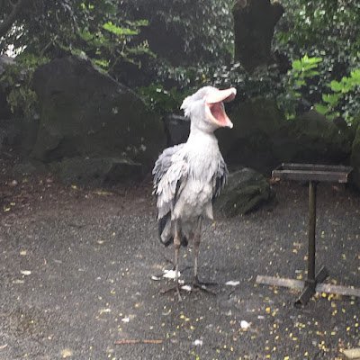 AaaKOY1's profile picture. 