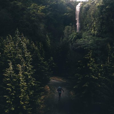 Psway_29's profile picture. 