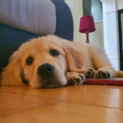 SoddyNu's profile picture. Just a Cork man who likes Synths, Gary Numan and AVFC 🇮🇪