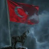 TAYFUN MELEK (@tayfunmelek5) 's Twitter Profile
