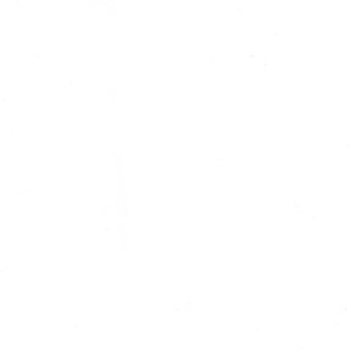 pomegranatenbee's profile picture. 