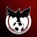 Worplesdon Phoenix FC (@wpfcfirstteam) Twitter profile photo