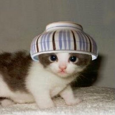 2OpSSgjbhSiecAj's profile picture. 元軍人