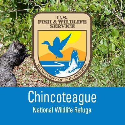 ChincoteagueNWR Profile Picture