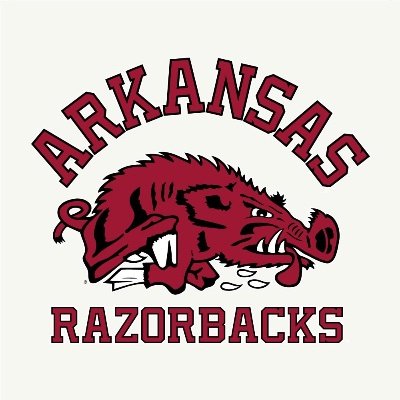 WeDemHogz's profile picture. Anonymous group of Razorback fans.