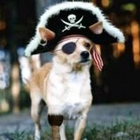 Captain Sensible (@captainsensible) 's Twitter Profile Photo Captain Sensible (@captainsensible) 's Twitter Profile Photo