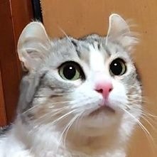 あり✿さんのプロフィール画像