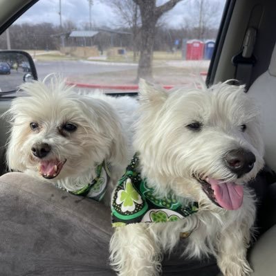 liz_overleaf's profile picture. One of a kind Design